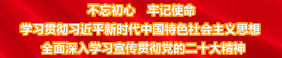 二十大精神